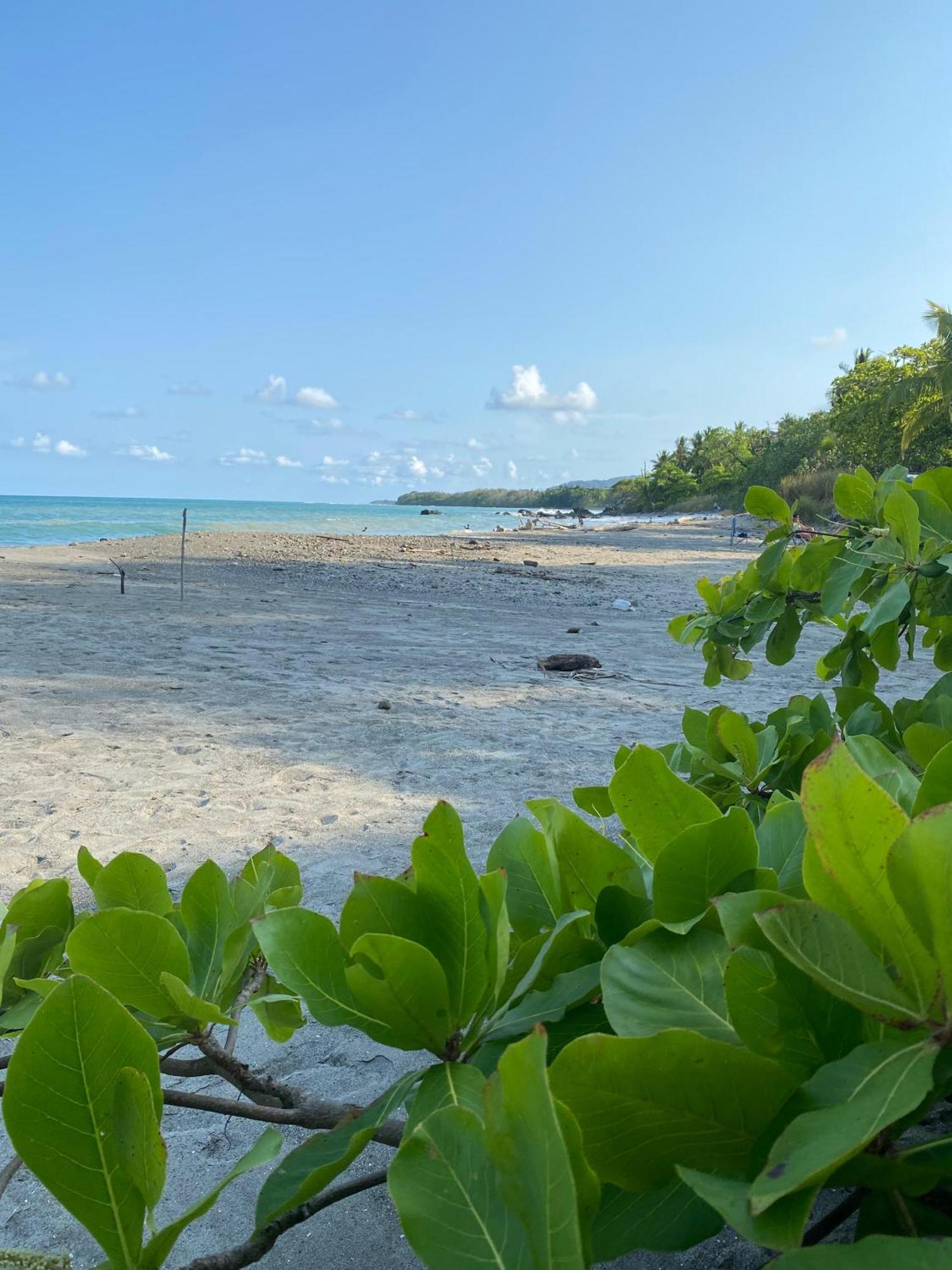 Villas Cabuya Beach & Jungle Exteriör bild