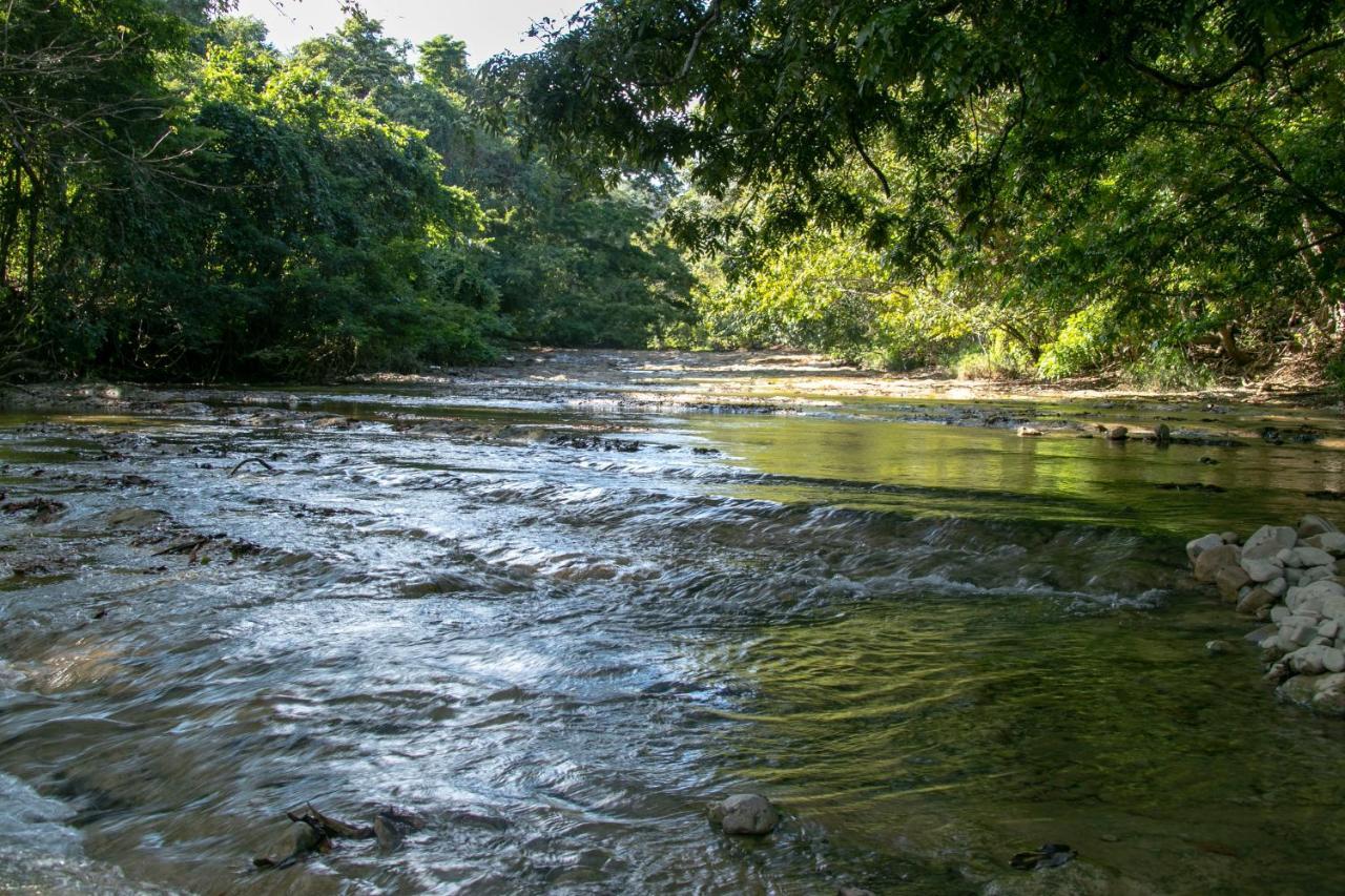 Villas Cabuya Beach & Jungle Exteriör bild